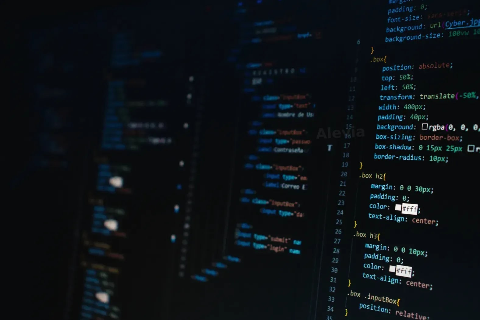 Solutions web professionnelles pour les entreprises qui veulent avancer avec clarté